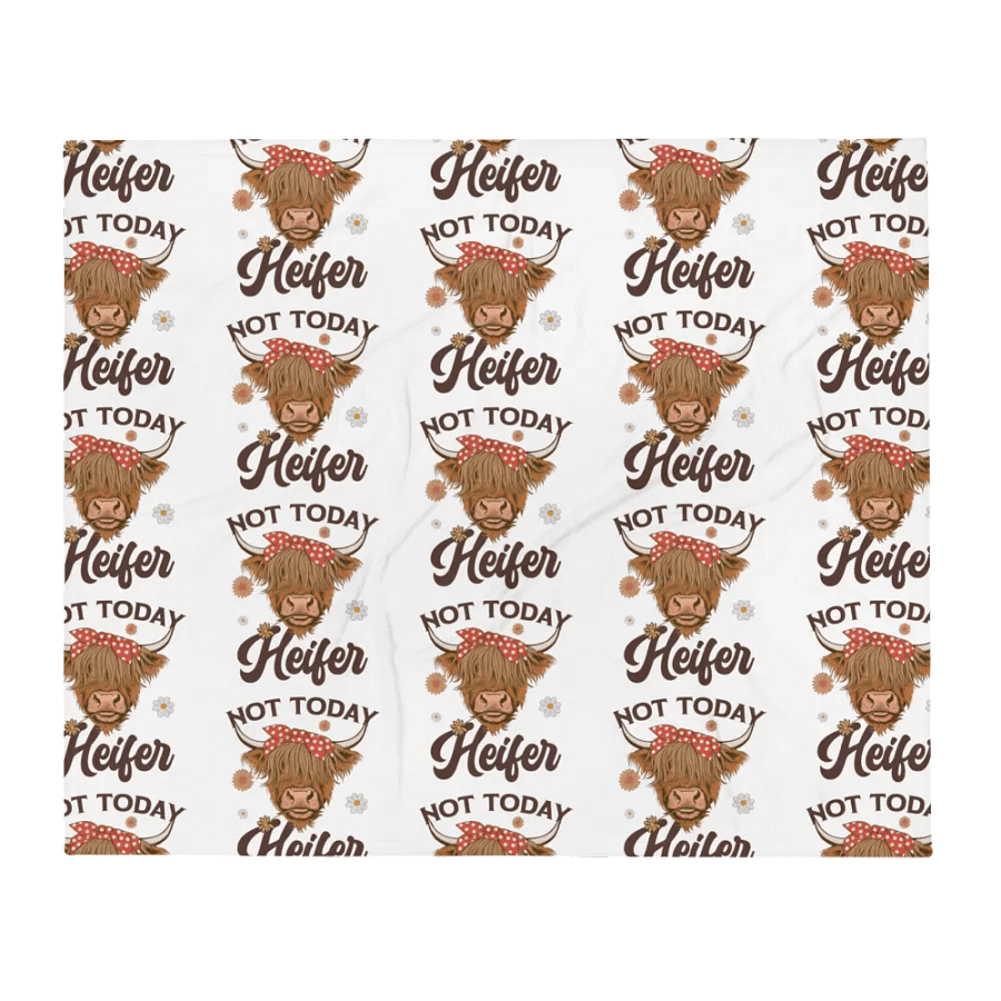 Not Today Blanket product image (1)