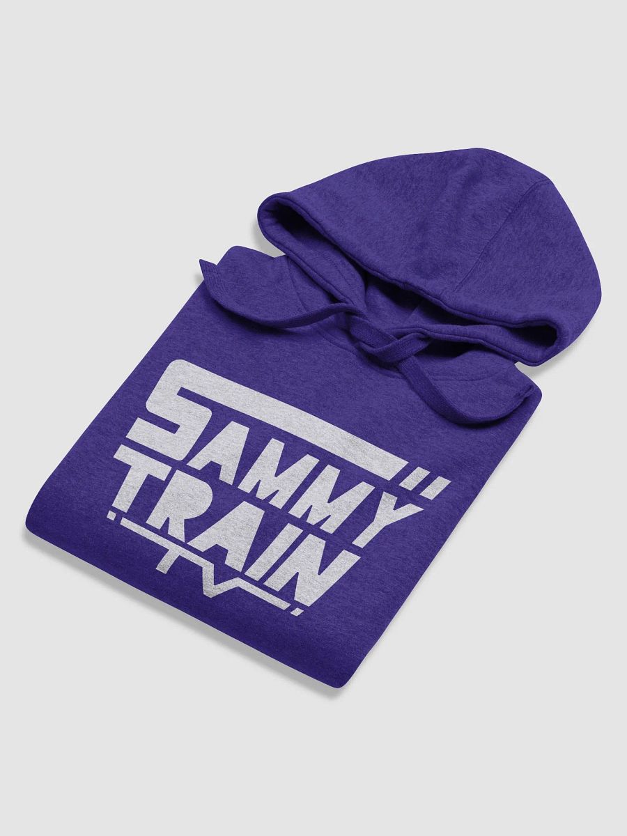 SammyTrainTV Logo Hoodie product image (54)