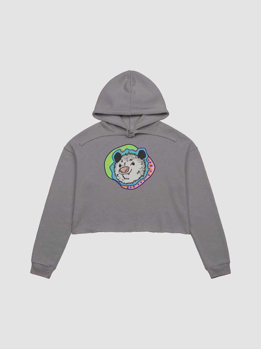 Vaporpossum fleece crop hoodie product image (2)