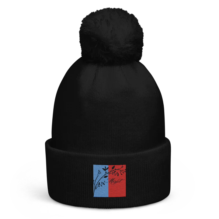 Misfit member pompom beanie product image (1)