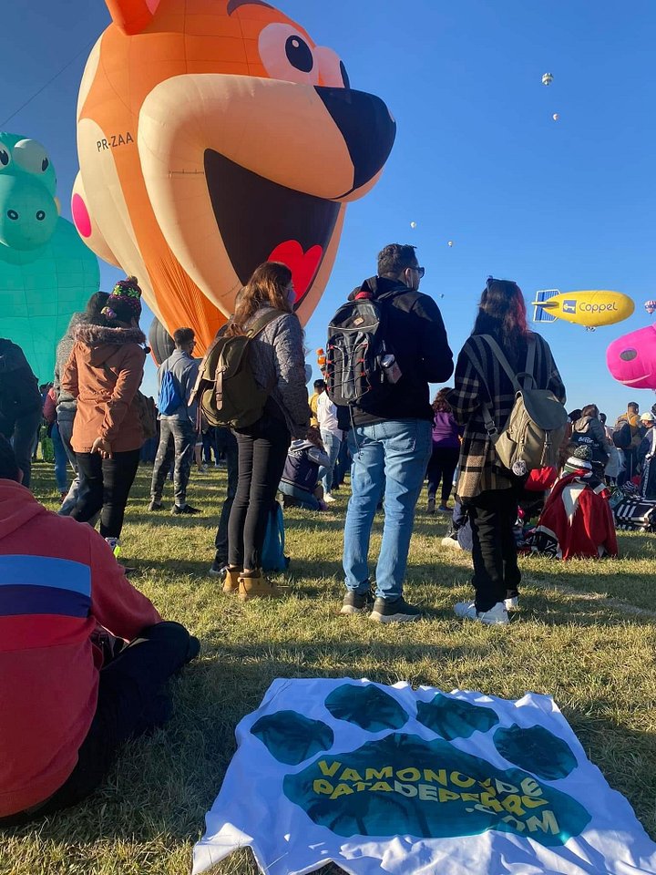 Tour al festival Internacional del Globo Leon product image (2)