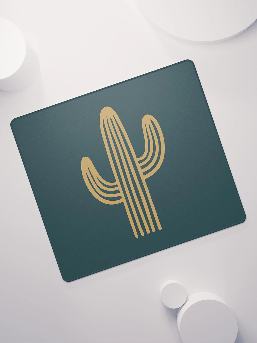 Cactus product image (7)