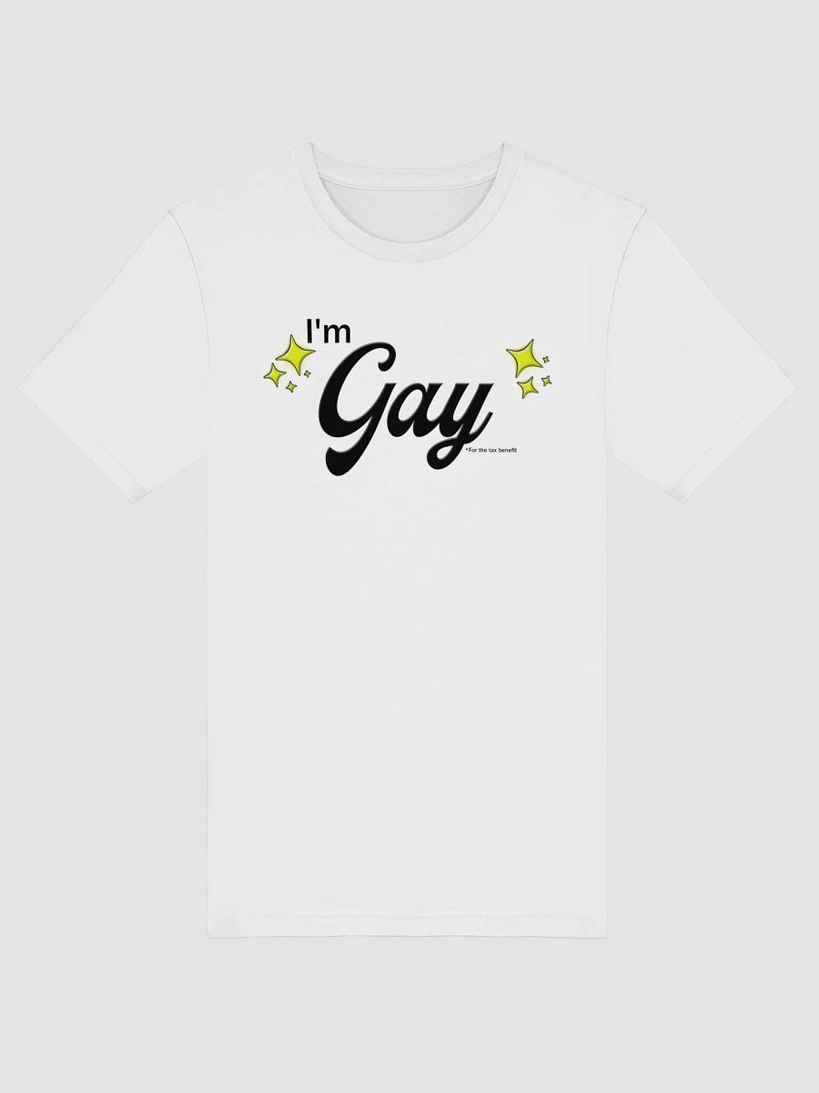 I'm Gay (for the tax benefit) Charity Tee product image (5)