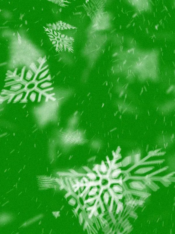 Snowflake Green Screen product image (1)