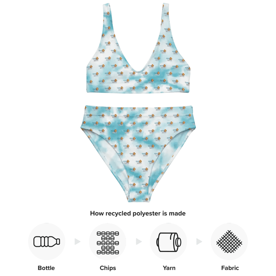 Neptune - High Waisted Bikini product image (5)
