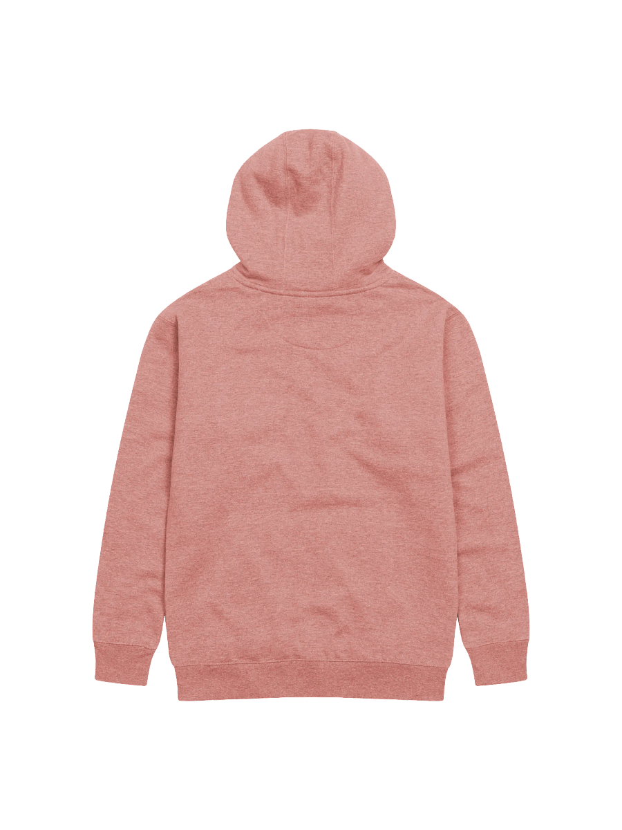 Oregon Girls Can Do Anything Hoodie product image (3)