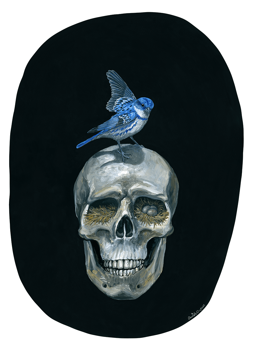 The Meek (Cerulean Warbler) - Art Print product image (1)