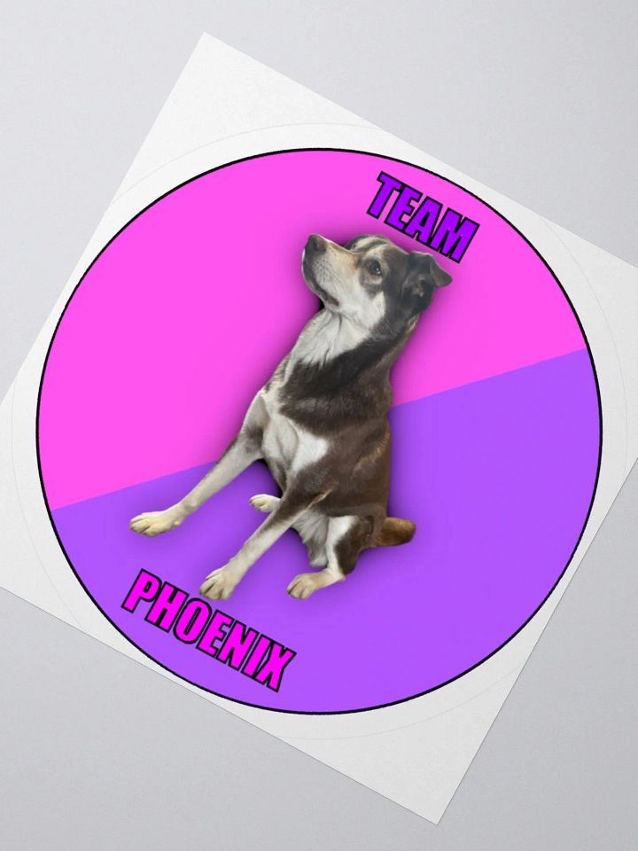 Team Phoenix Stickers product image (6)