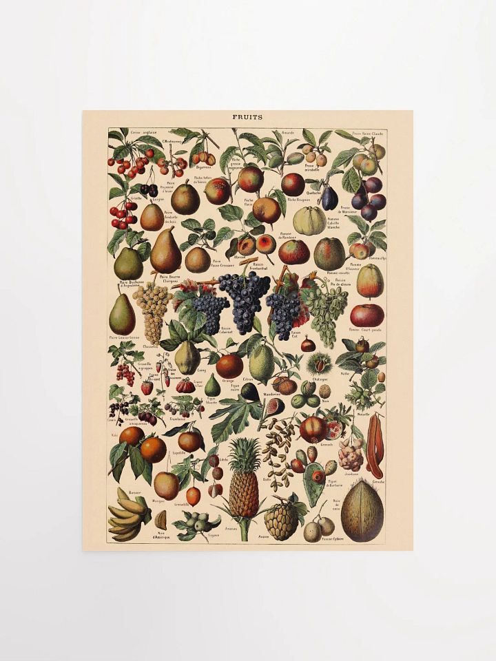 Vintage fruit poster print product image (1)