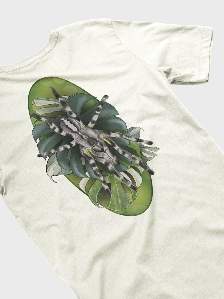 Poecilotheria regalis and Monstera product image (2)