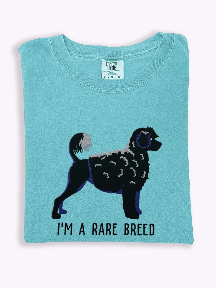 I'm a Rare Breed T-Shirt(Embroidered) of a Portuguese Water Dog(Black) product image (1)