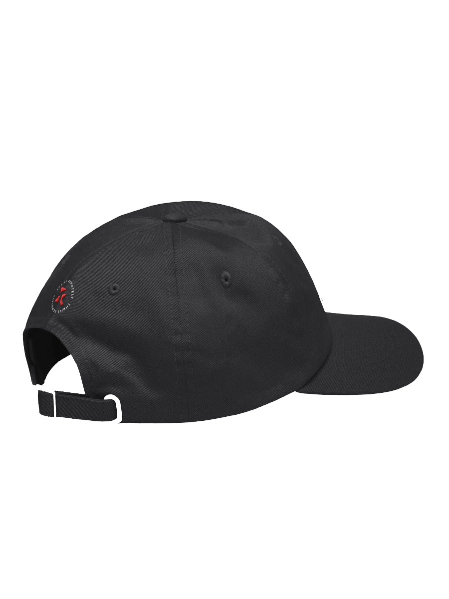 Chill Classic Cap/dark–Thrive product image (10)