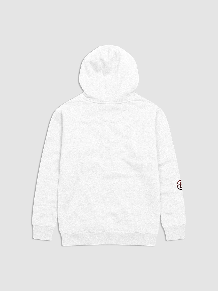 ITS THE TRUTH HOODIE product image (2)