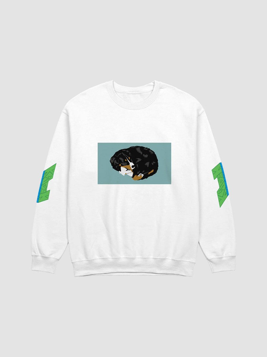 Big Dog Sweat Shirt product image (1)
