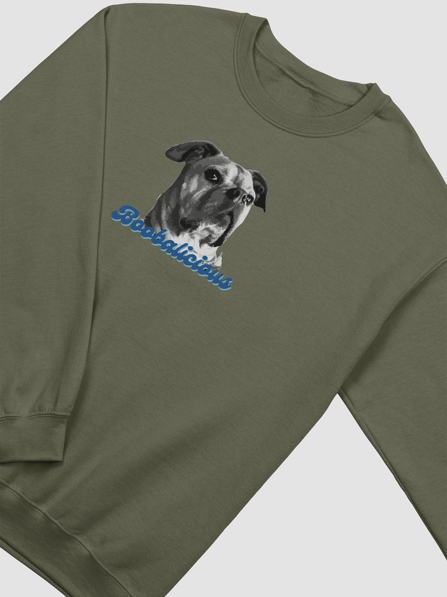 Boobalicious Illustrated Boo Crewneck Sweatshirt product image (18)