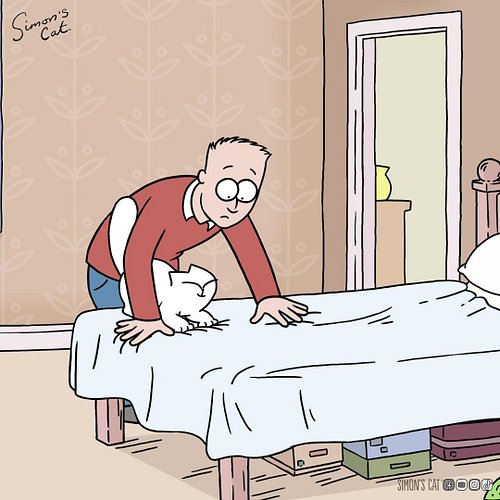 Just helping! 🛏️🐱