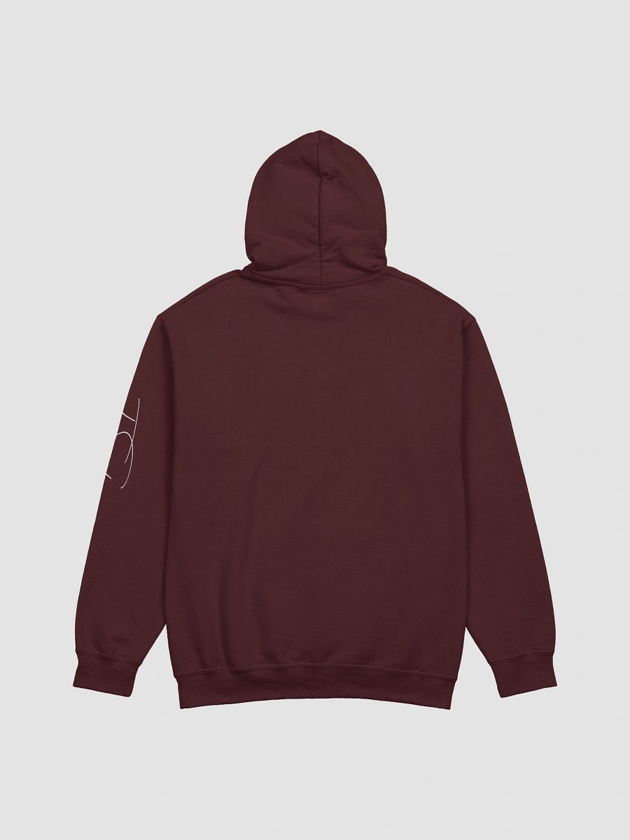 Taco Squad Spam Hoodie product image (3)