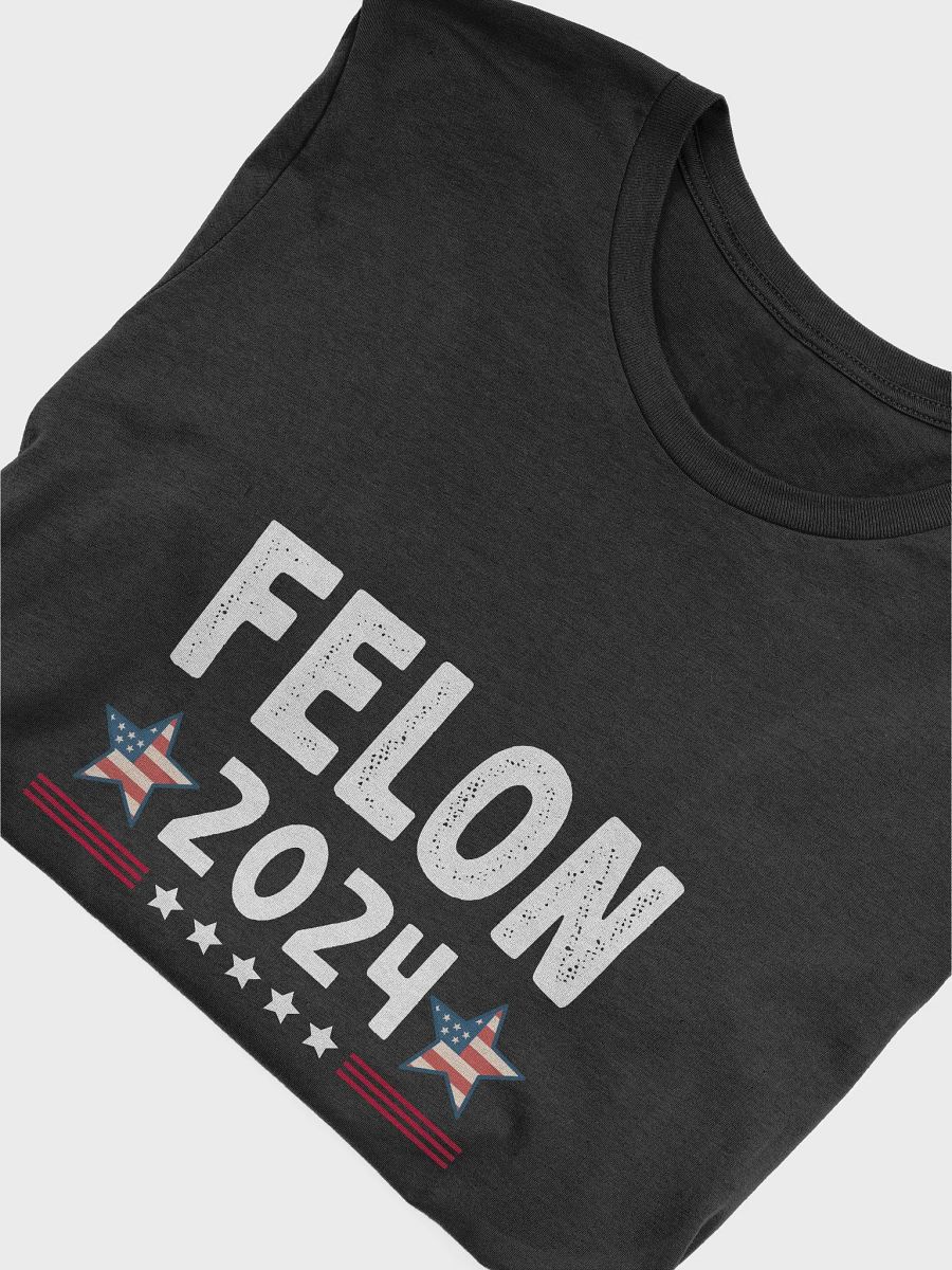 Felon 2024 T-Shirt | USA Sarcastic Politics Shirt product image (5)