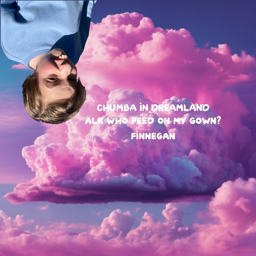 CHUMBA IN DREAMLAND CD product image (2)