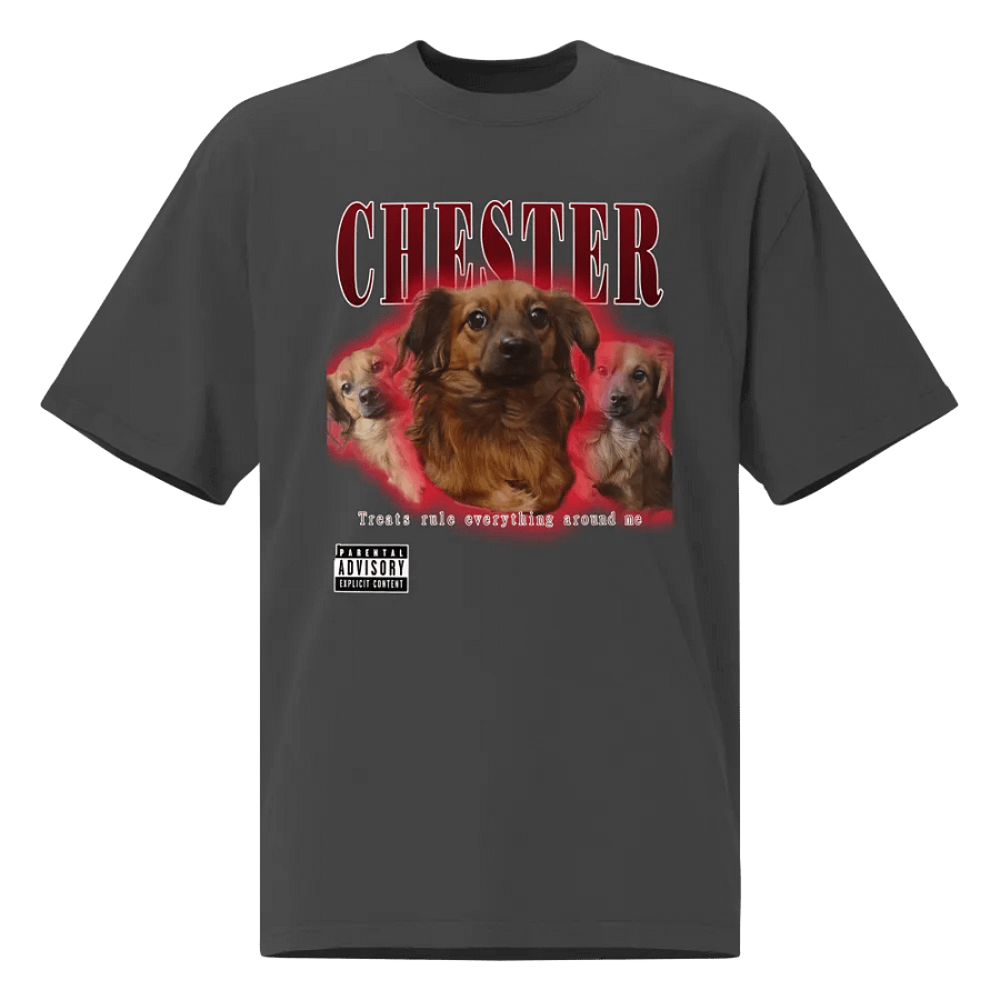 Chester Hip Hop Premium Oversized Faded T-Shirt product image (10)