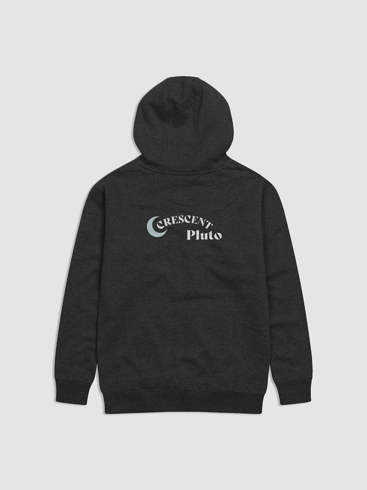 Silly Goose Hoodie product image (2)