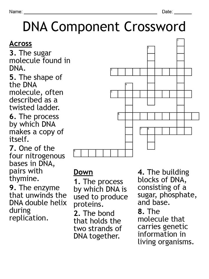 DNA Component Crossword Puzzle – Fun Biology Activity product image (1)