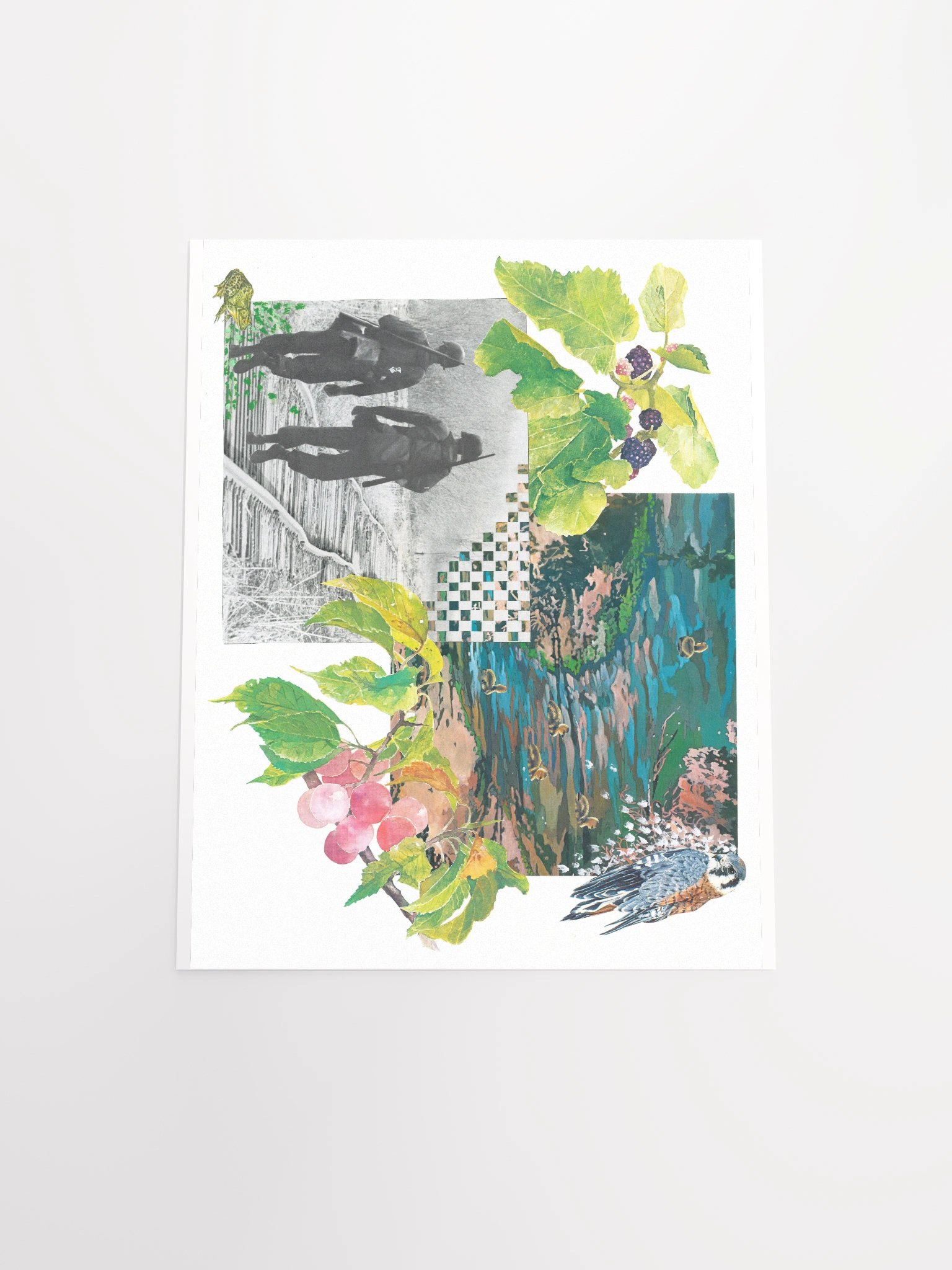 Nature's Cycles (horizontal) product image (4)