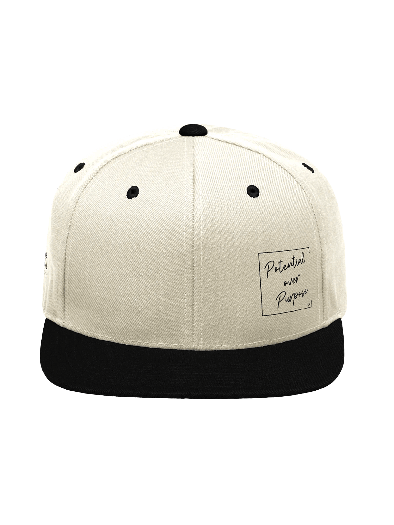 Potential over Purpose Hat – Signature Series by Josh 