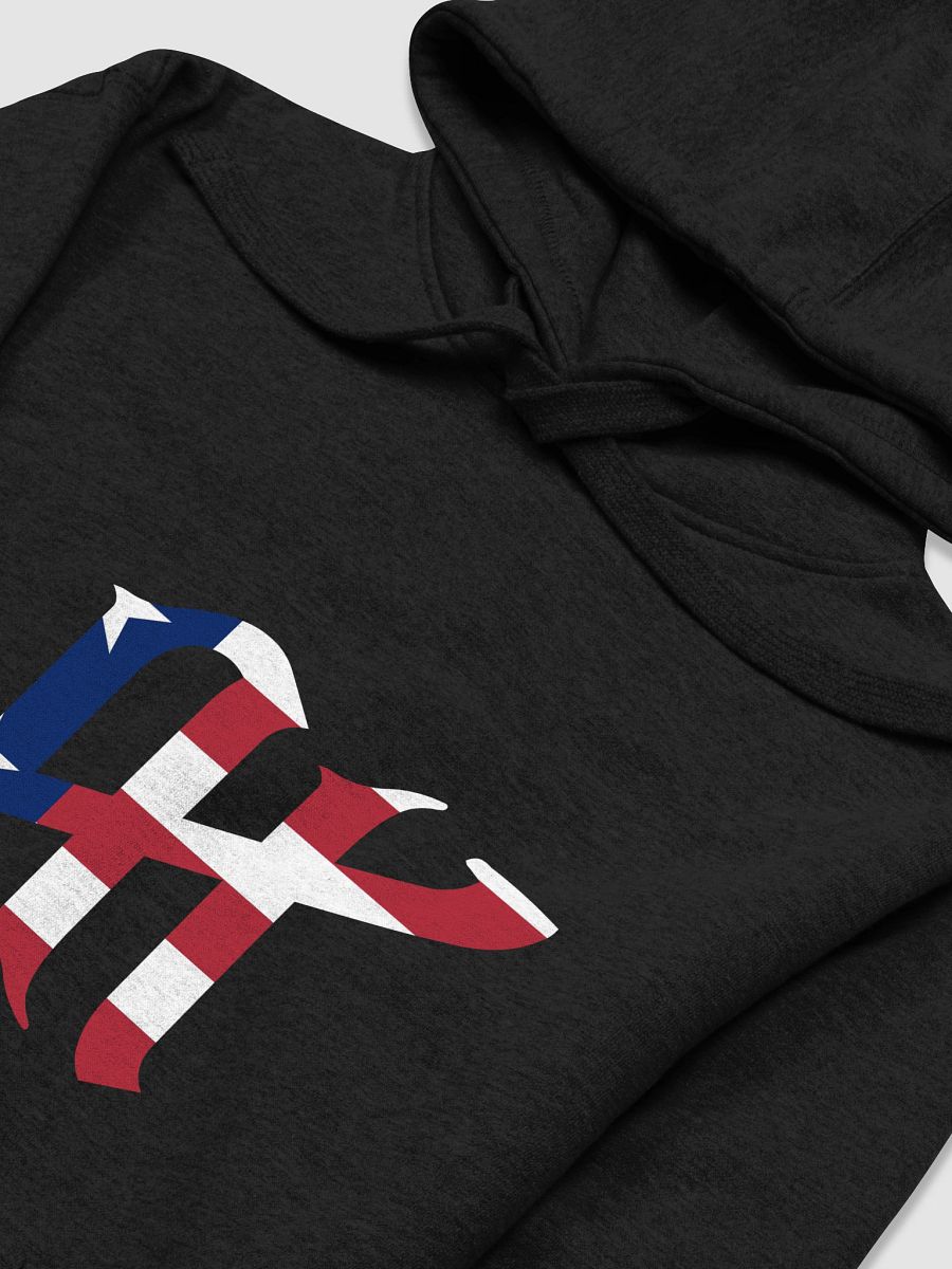 TMR AI USA Logo Hoodie product image (3)
