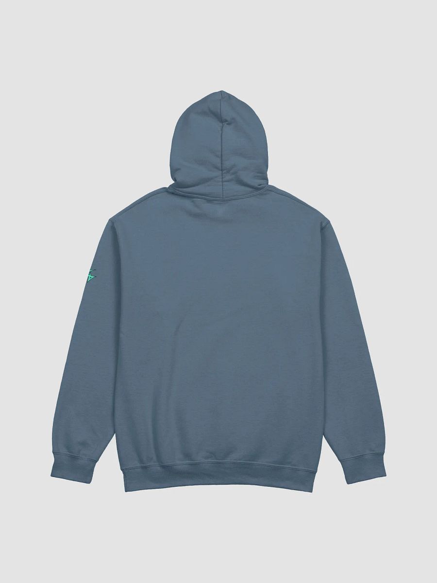 2LX Hoodie product image (11)