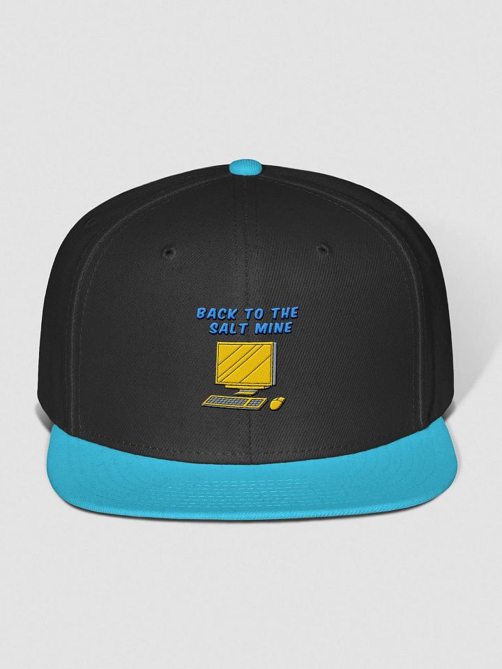 Back To The Salt Mine Snapback product image (1)