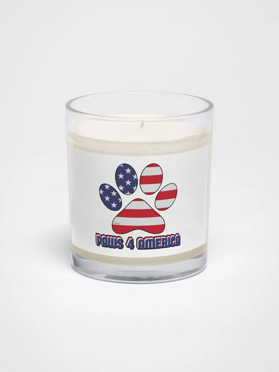 PAWS 4 AMERICA product image (1)