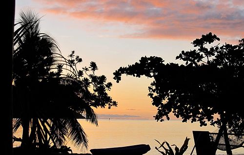 My 2 favorite times of the day are mornings with the sunrising and evening when the sun sets! What’s yours ? #mornings #sunri...