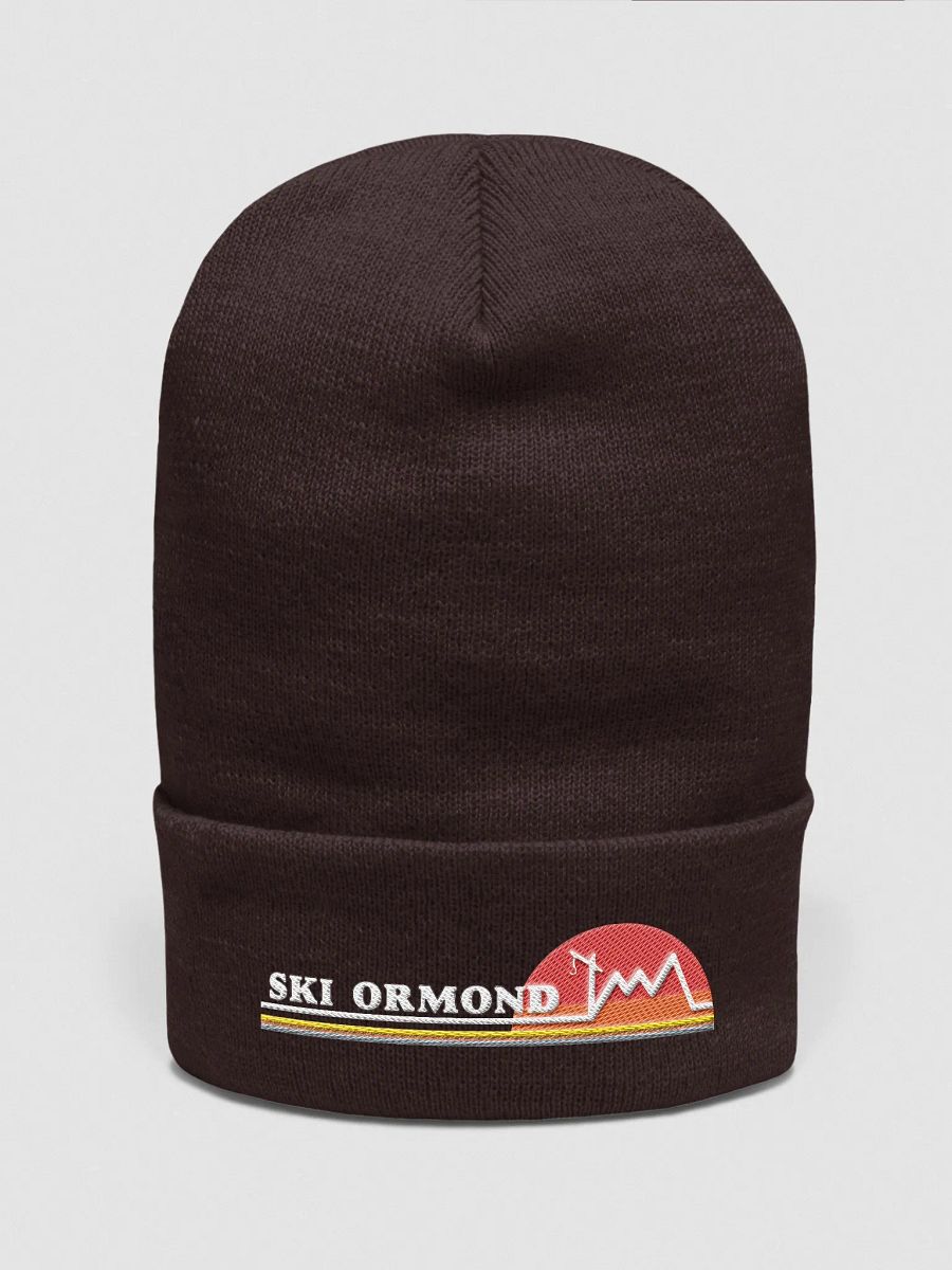 Ski Ormond Beanie product image (2)