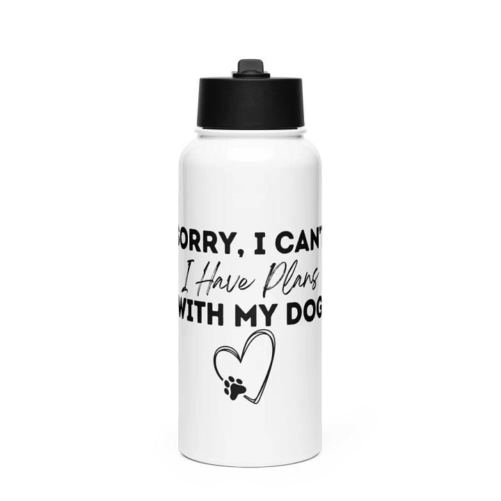 Premium Stainless Steel Water Bottle product image (1)