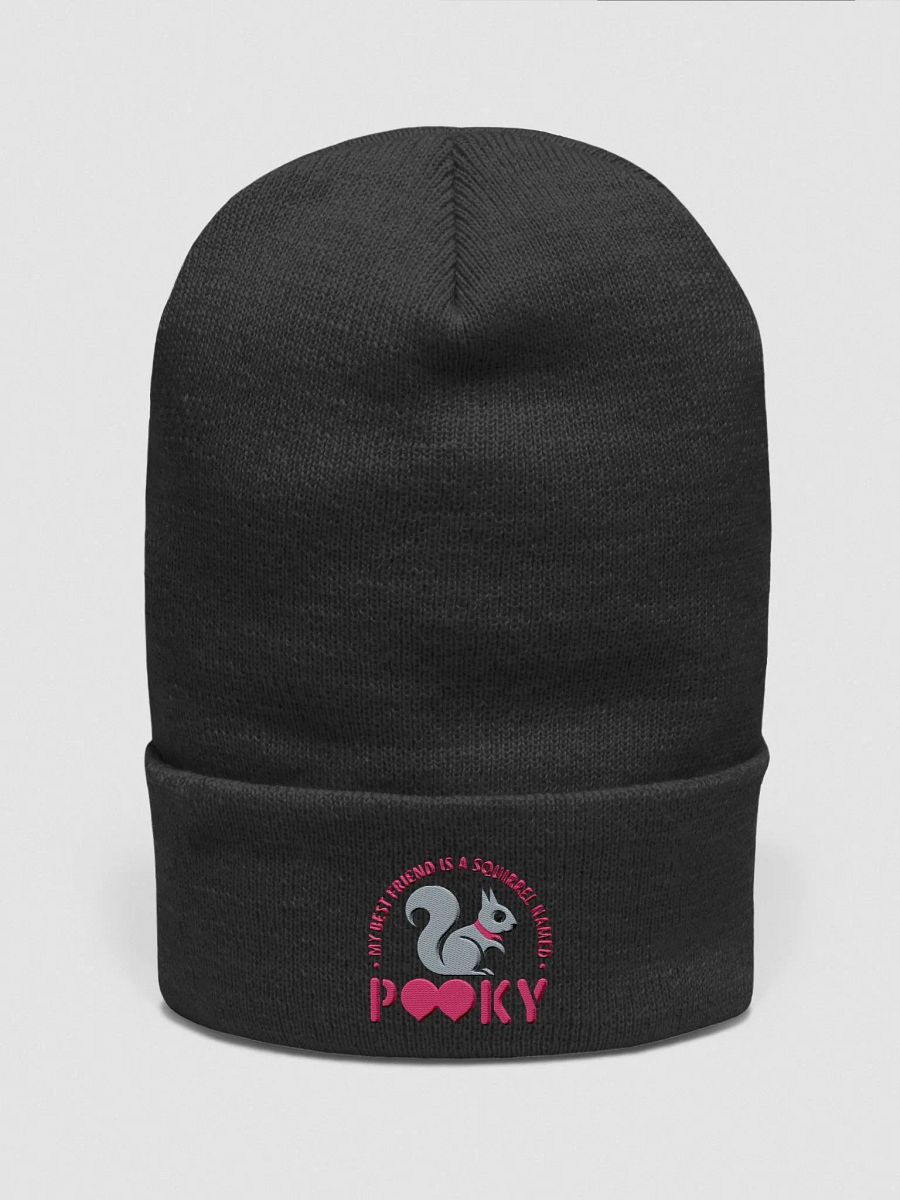 My Best friend is a squirrel named pooky supersoft beanie product image (1)