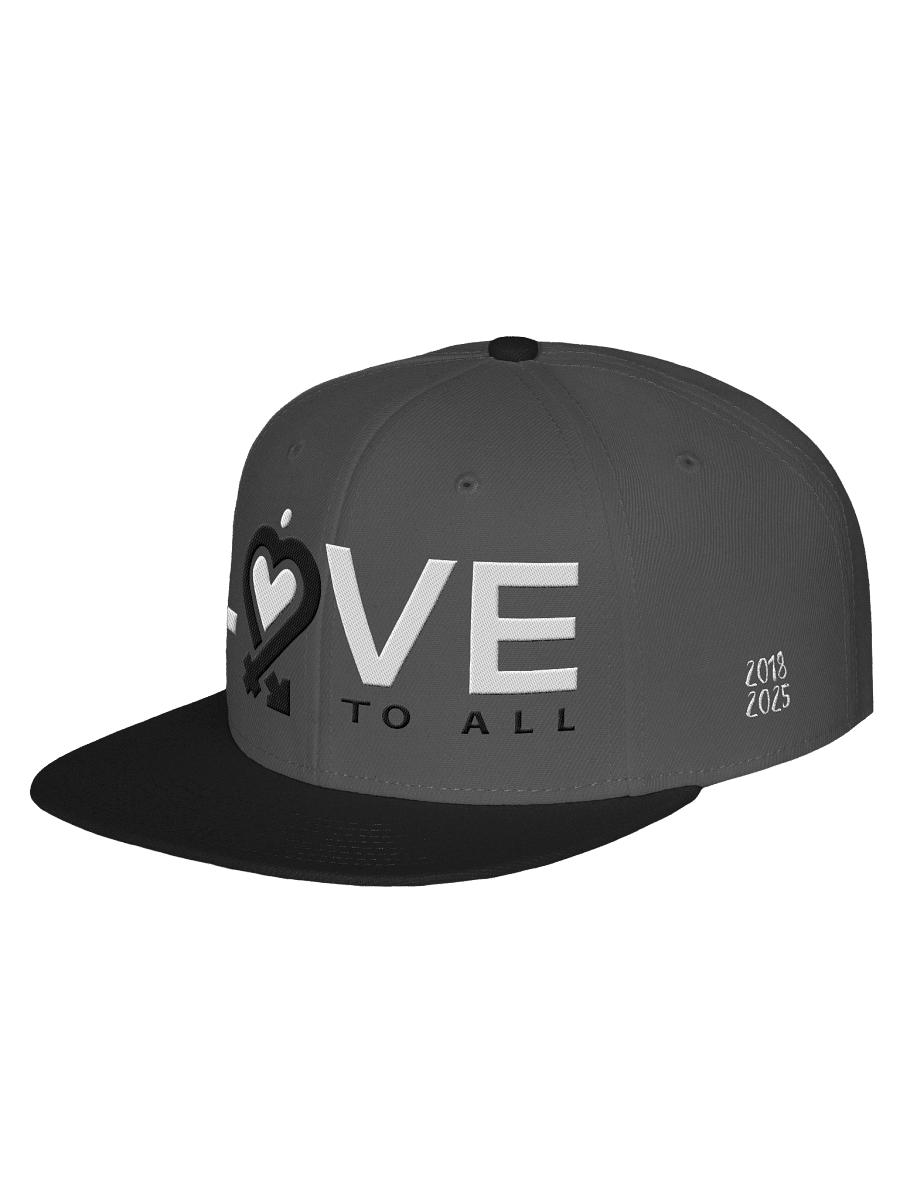 L2A Embroidered Snapback Hat product image (3)