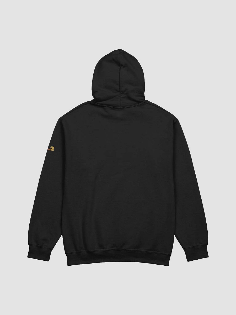 Golden Bird Rebinjak Classic Hoodie product image (37)