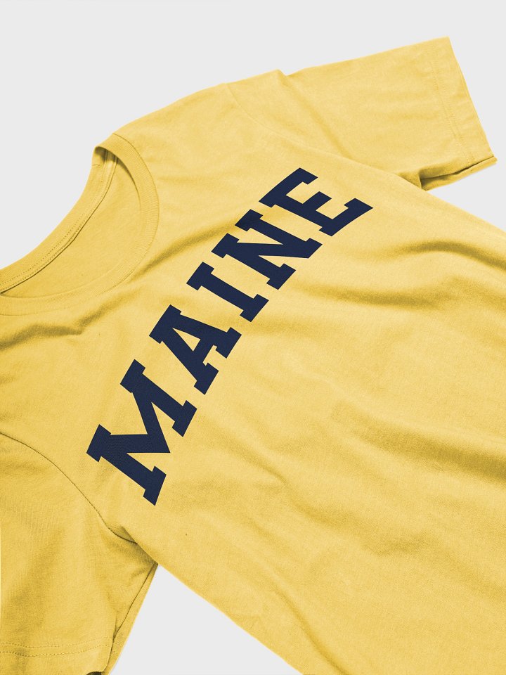 Maine Vintage Stylish Supersoft Unisex T-Shirt product image (2)