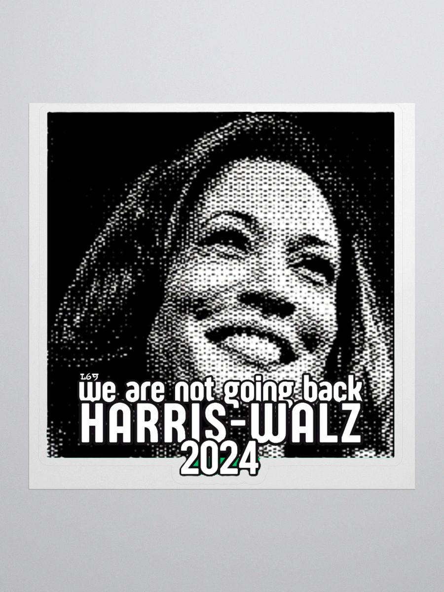 HARRIS-WALZ 2024 WE ARE NOT GOING BACK product image (2)