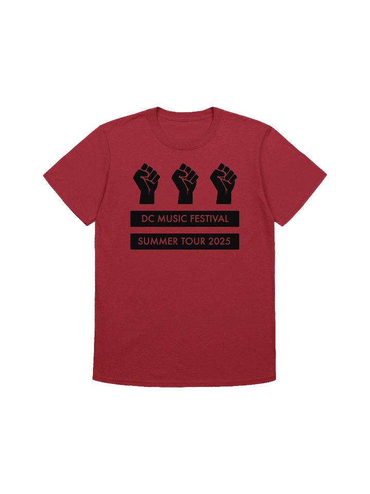 DC Music Fest Summer Tour Fist Flag product image (1)