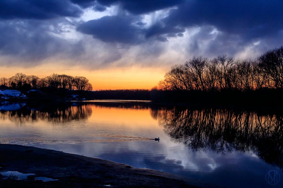Homeward Bound Print product image (1)