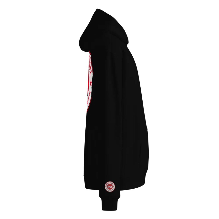 IFBNewsfeed.Org's AS Colour Unisex Premium Oversized Hoodie product image (4)