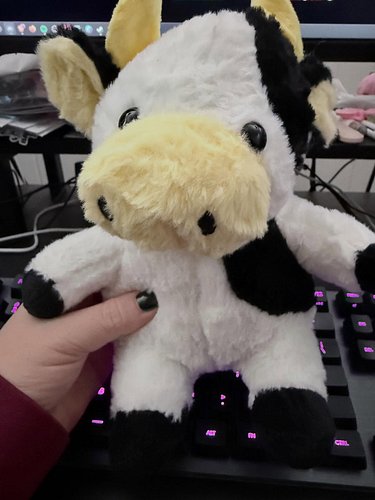 Meet Moozeeky ❤️

My bestie @kayb2021gaming is better than your bestie