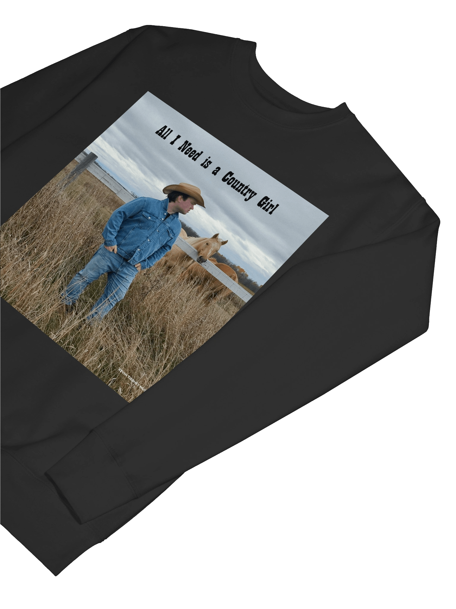 All I Need is a Country Girl Horse and Field Sweatshirt product image (60)