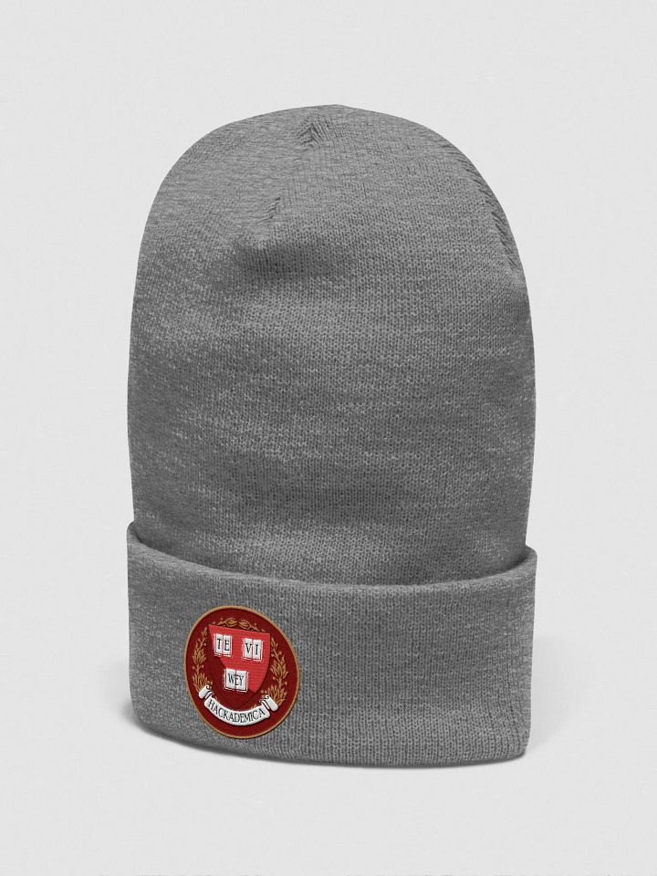 HACKADEMICA BEANIE (Grey) product image (2)