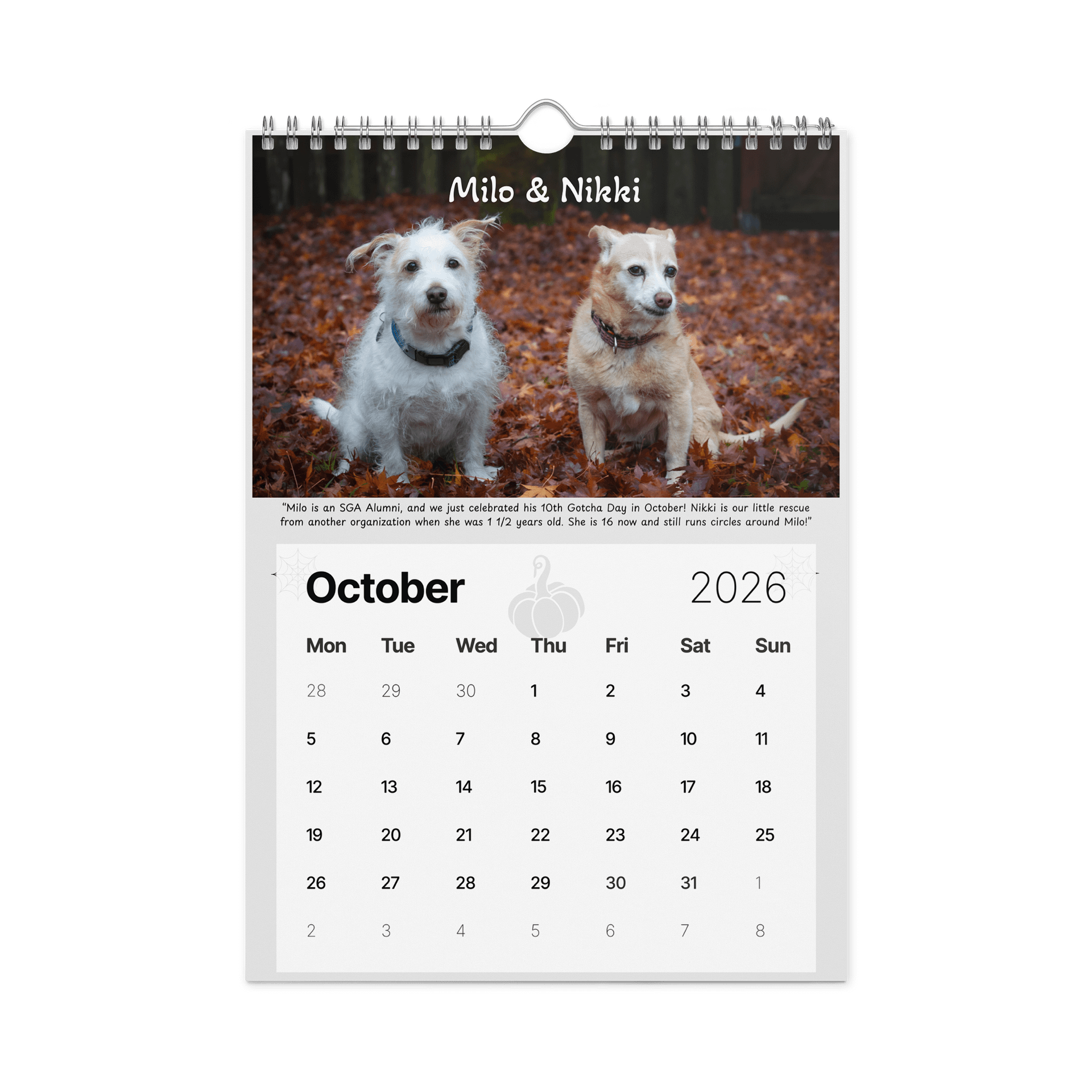 2026 Saving Great Animals Rescue Calendar product image (11)
