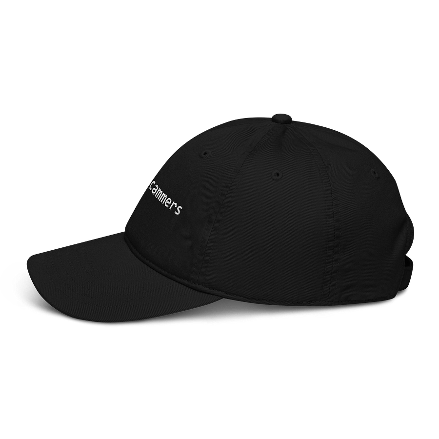 F*ck Internet Scammers product image (3)