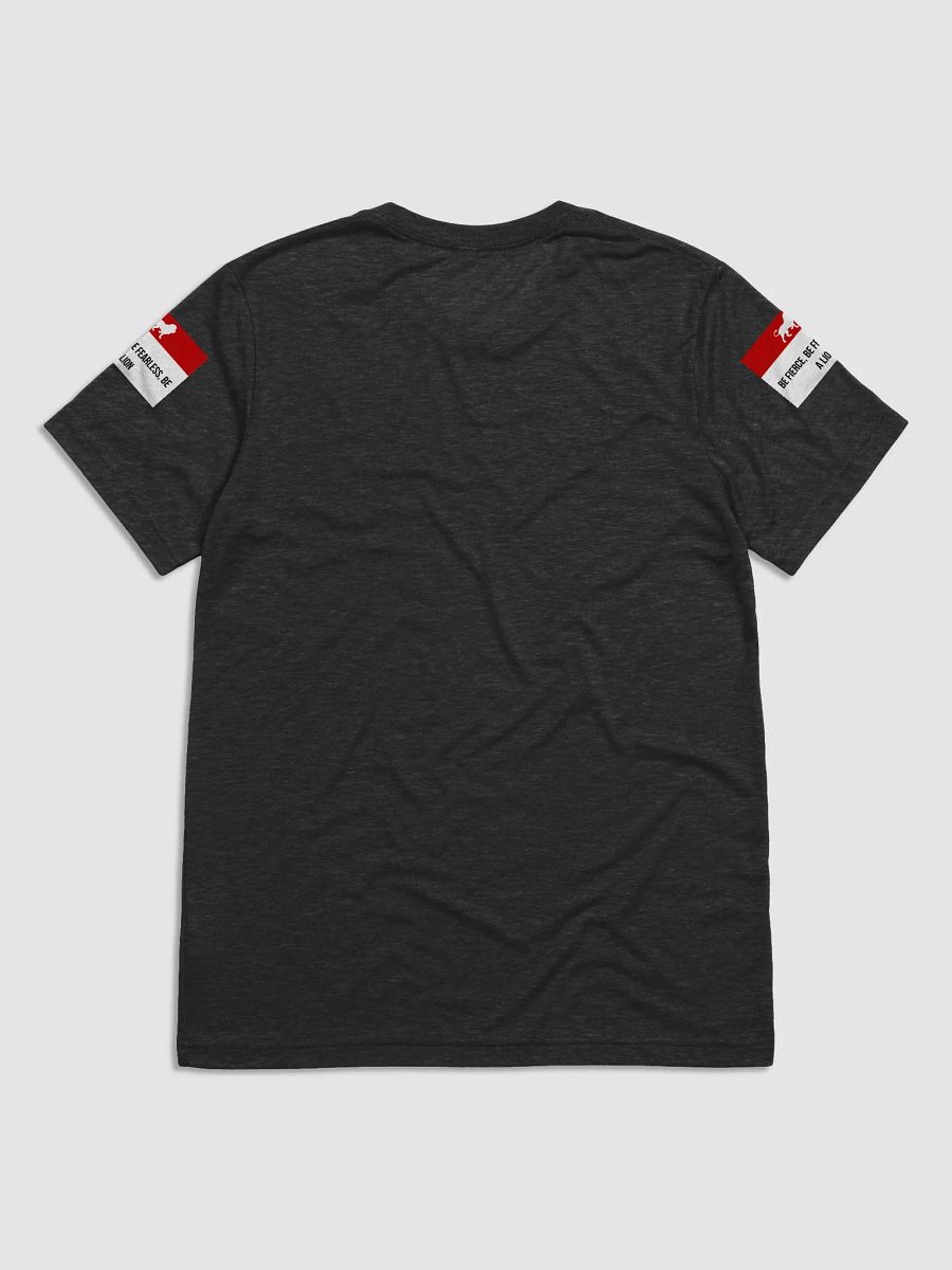 Lioness Spirit Triblend Tee product image (24)