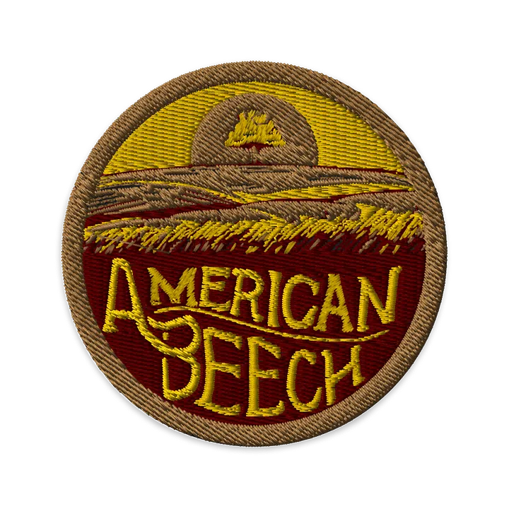 American Beech 